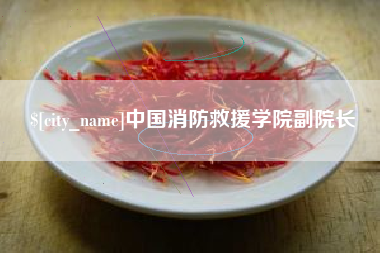 平湖中国消防救援学院副院长