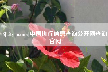 平湖中国执行信息查询公开网查询官网