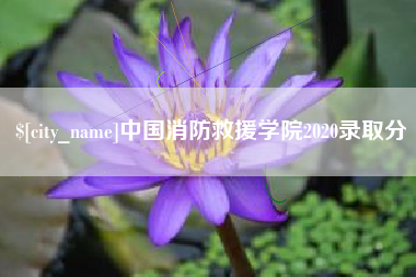 平湖中国消防救援学院2020录取分