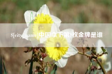 平湖中国拿下第9枚金牌是谁