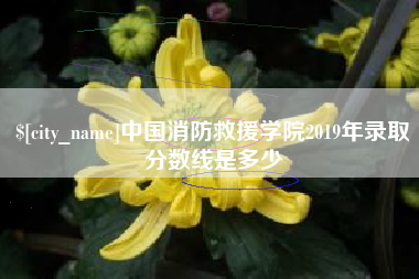 平湖中国消防救援学院2019年录取分数线是多少