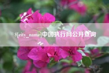 平湖中国执行网公开查询
