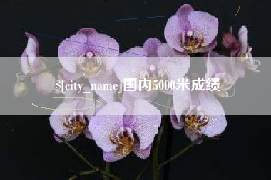 平湖国内5000米成绩