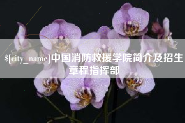 平湖中国消防救援学院简介及招生章程指挥部