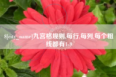 平湖九宫格规则,每行,每列,每个粗线都有1-9