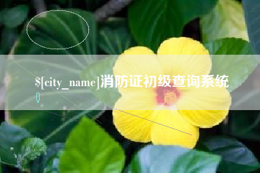 平湖消防证初级查询系统