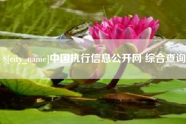平湖中国执行信息公开网 综合查询