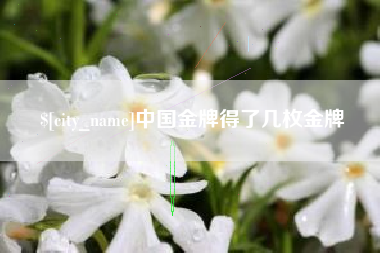 平湖中国金牌得了几枚金牌