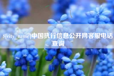 平湖中国执行信息公开网客服电话查询