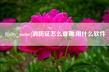 平湖消防证怎么查询,用什么软件