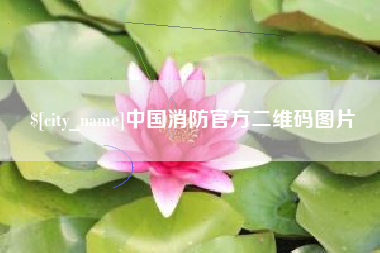 平湖中国消防官方二维码图片