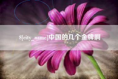 平湖中国的几个金牌啊