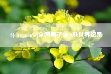 平湖全国男子5000米世界纪录