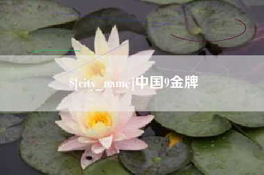 平湖中国9金牌