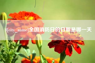 平湖全国消防日的日期是哪一天