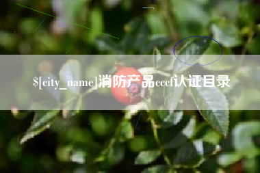 平湖消防产品cccf认证目录
