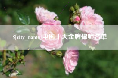 平湖中国十大金牌律师名单