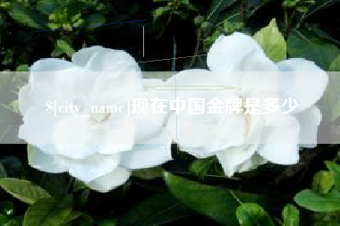 平湖现在中国金牌是多少