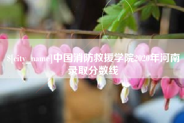 平湖中国消防救援学院2020年河南录取分数线