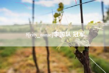 平湖中国队 冠军