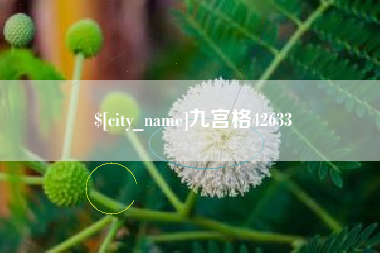 平湖九宫格42633