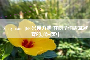 平湖600米接力赛-在同学们震耳欲聋的加油声中