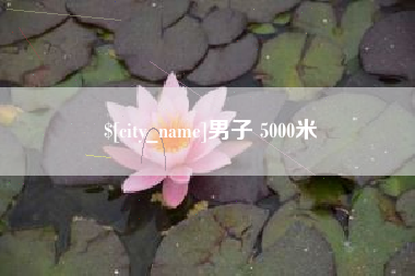 平湖男子 5000米