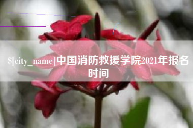 平湖中国消防救援学院2021年报名时间