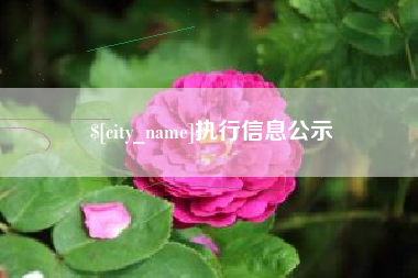 平湖执行信息公示