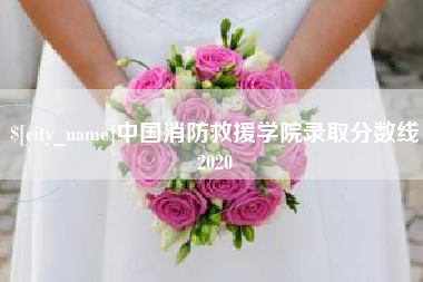 平湖中国消防救援学院录取分数线2020