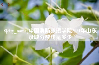 平湖中国消防救援学院2021年山东录取分数线是多少