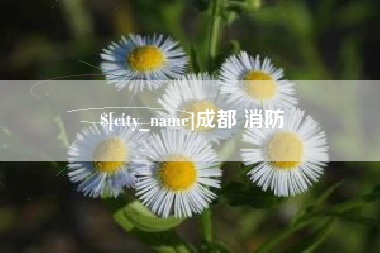 平湖成都 消防