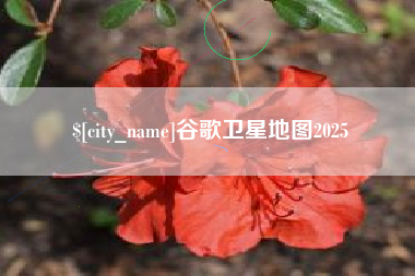 平湖谷歌卫星地图2025