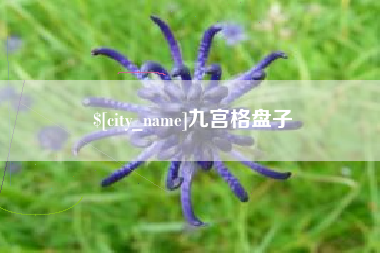 平湖九宫格盘子