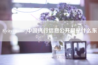 平湖中国执行信息公开网是什么东西