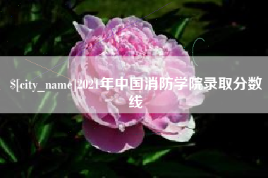 平湖2021年中国消防学院录取分数线