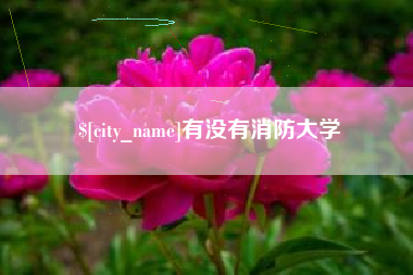 平湖有没有消防大学