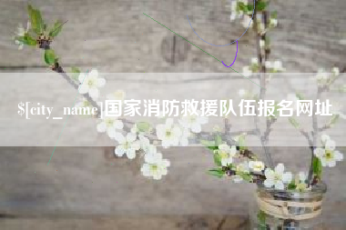 平湖国家消防救援队伍报名网址