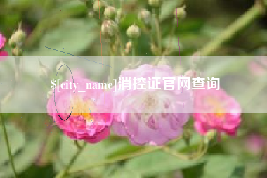 平湖消控证官网查询