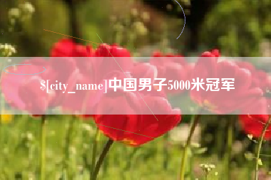 平湖中国男子5000米冠军