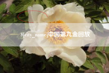 平湖中国第九金回放
