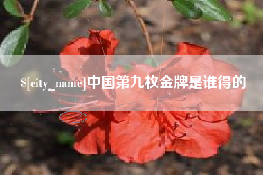 平湖中国第九枚金牌是谁得的