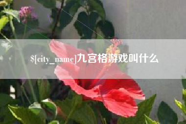 平湖九宫格游戏叫什么