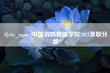 平湖中国消防救援学院2021录取分数