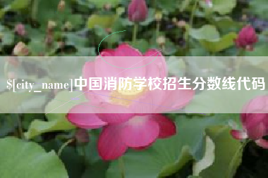 平湖中国消防学校招生分数线代码