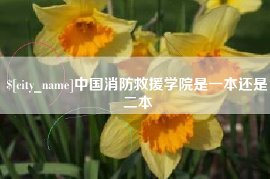 平湖中国消防救援学院是一本还是二本