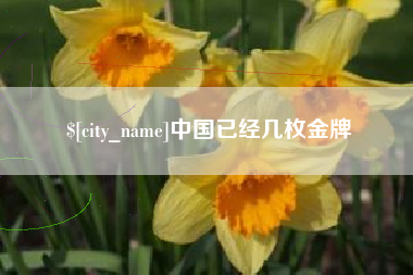 平湖中国已经几枚金牌