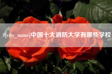 平湖中国十大消防大学有哪些学校