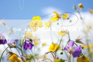 平湖中国队拿几块金牌了