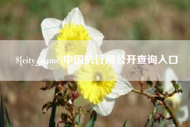 平湖中国执行网公开查询入口